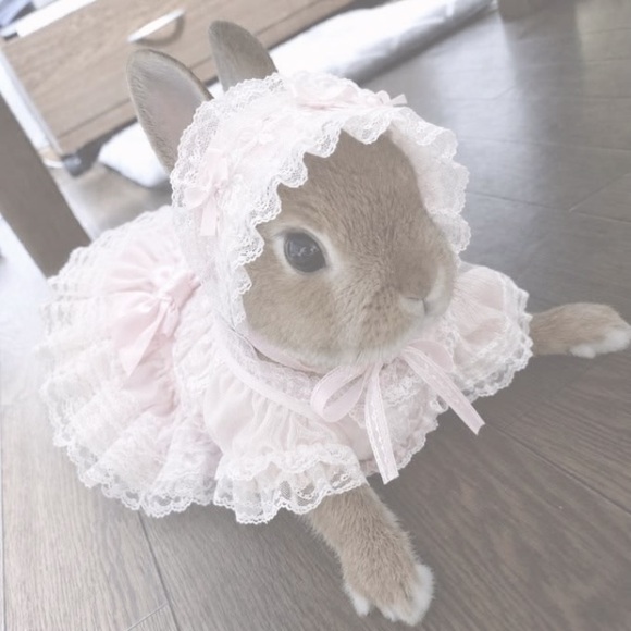sweetestgirl_